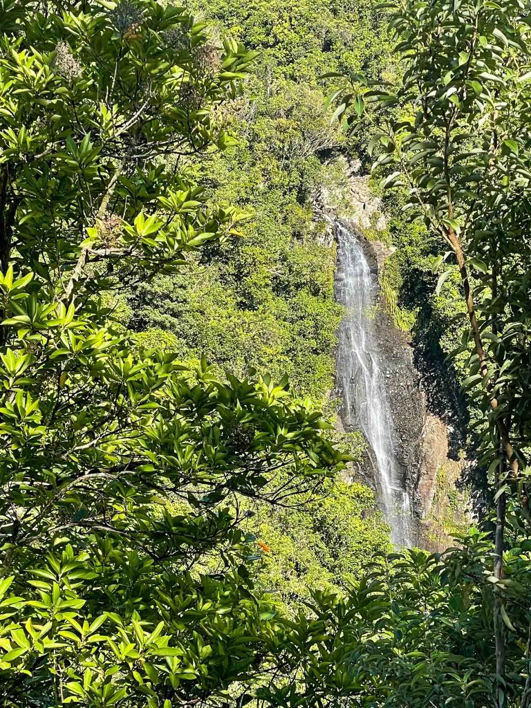 Hundewasserfall in Bras Panon