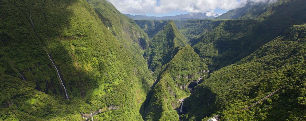 14 idées pour vous rafraîchir : Takamaka