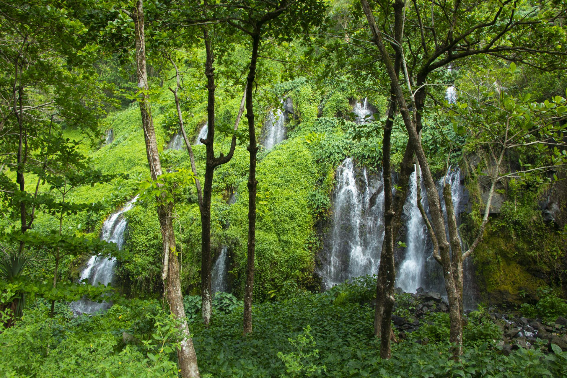 Wasserfälle in der Vegetation bei L'Anse des Cascades in Sainte-Rose