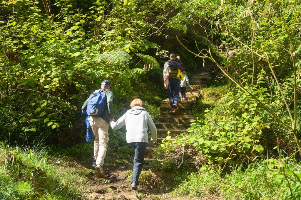 Familienwanderung im Wald von Bélouve