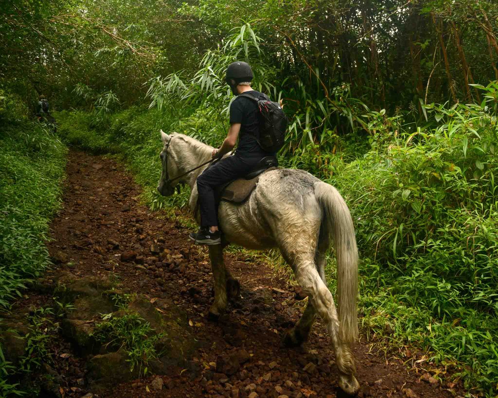 Paseo a caballo