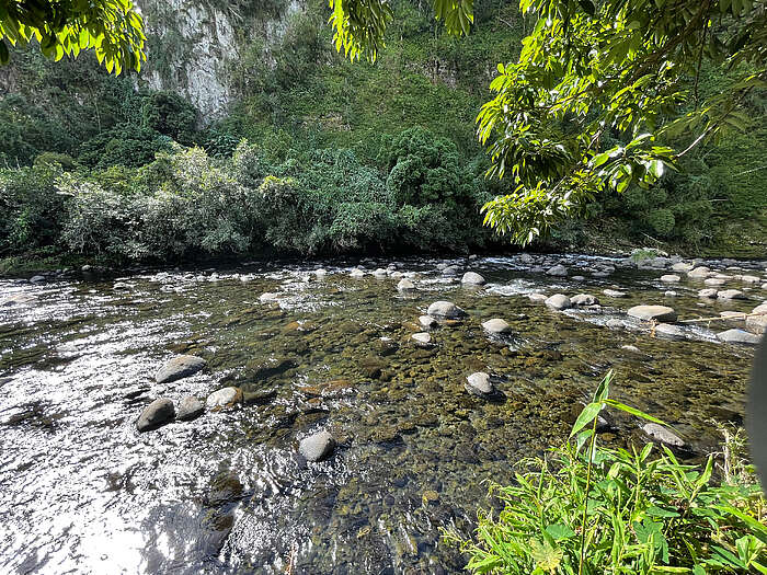 Coco Island - Teich