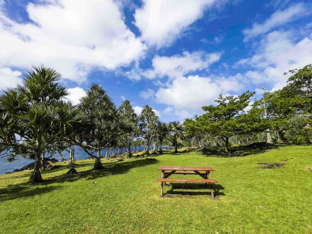 Cayenne picnic table in Sainte-Rose surrounded by Vacoas