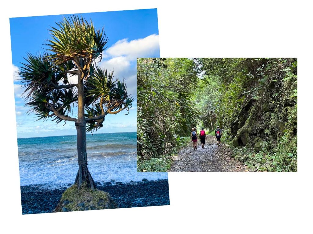 La marine de Saint-Benoît bord de mer littoral est de la Réunion avec des vacoas et un sentier de randonnée