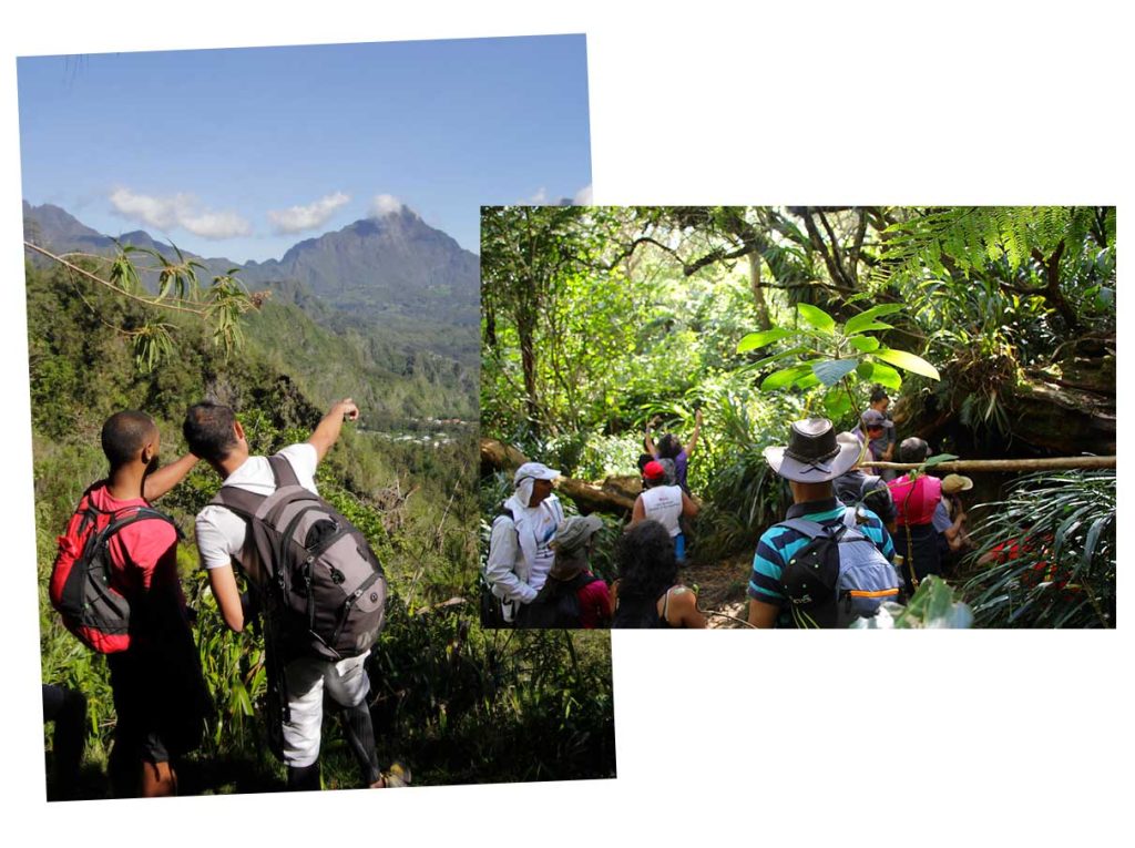 14 ideas para refrescarse.Vacaciones en el Este - Senderismo turístico en el paisaje montañoso y forestal de Salazie