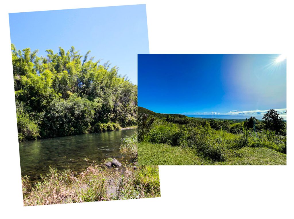 Mangobecken von Saint-Benoît und Panoramablick