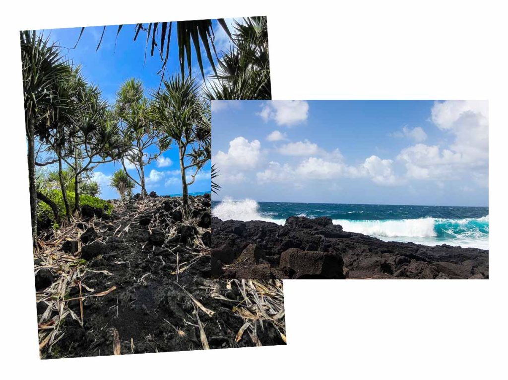 Coastal path - image of Anse des cascades in Sainte-Rose