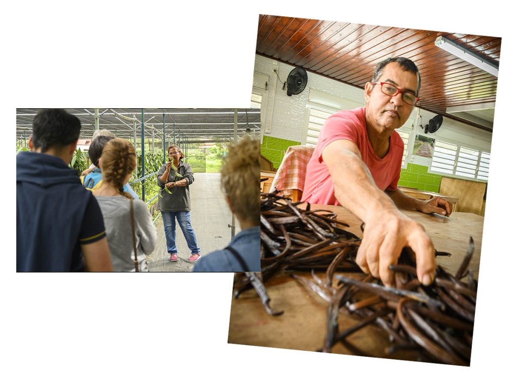 Visite de la plantation de vanille Roulof à Saint-André