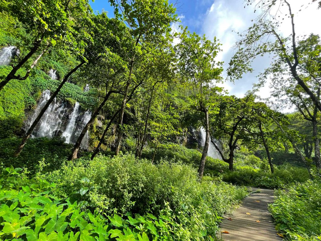 14 Ideen zur Abkühlung: Blick auf die Wasserfälle der Anse des Cascades in Sainte-Rose