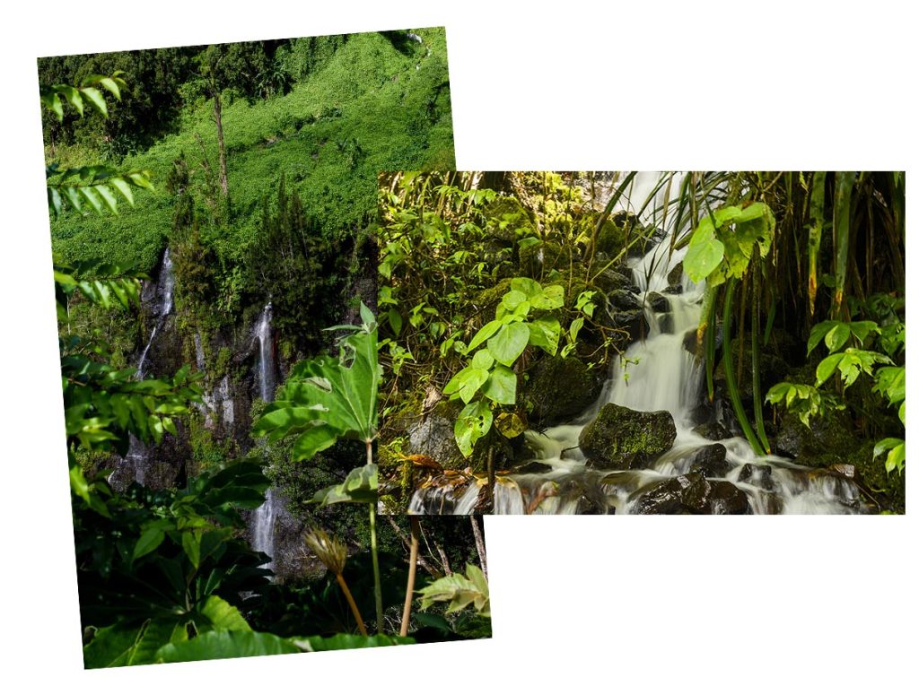 Takamaka - waterfalls and vegetation