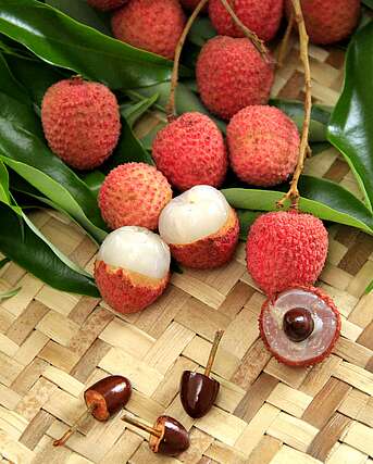 Photo of lychees or lychees - Saint-Benoît litchi