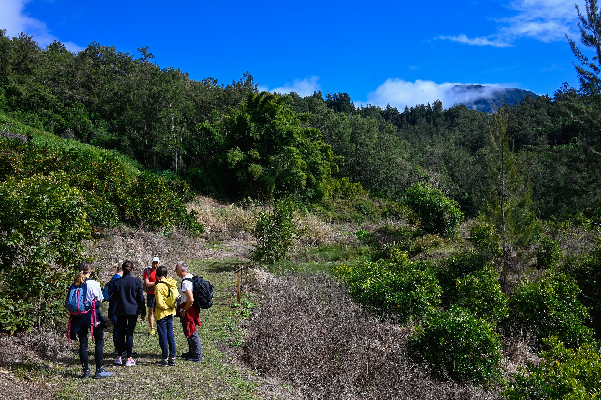 Caminata guiada en el Cirque de Salazie