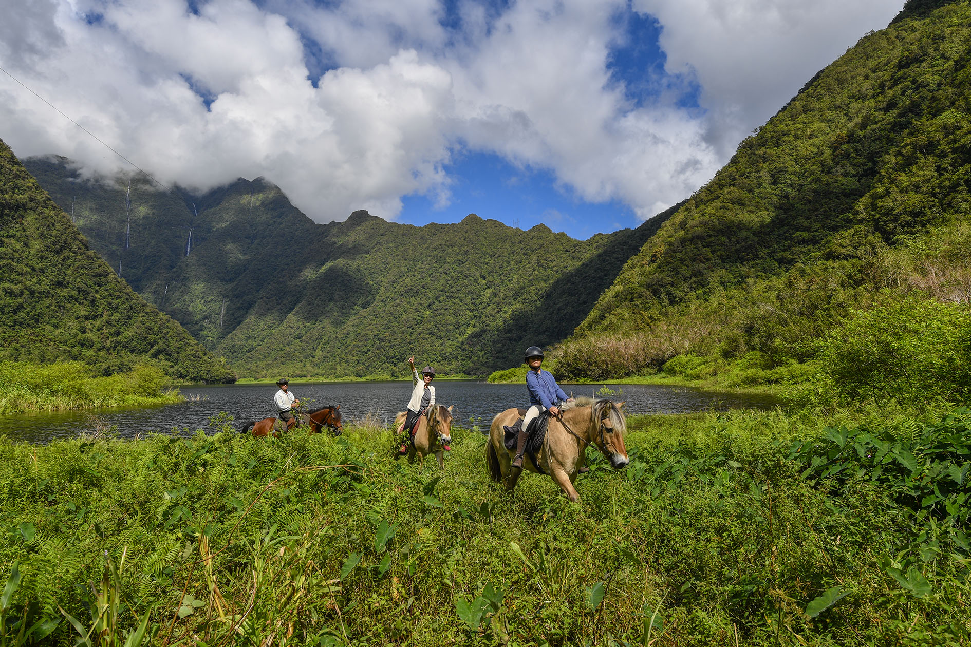 Balade à cheval à Grand Étang avec Rico Nourry