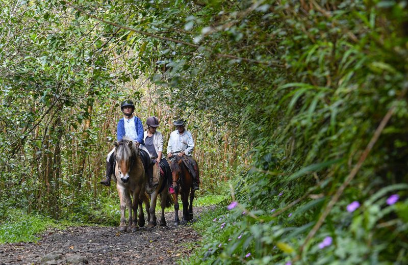 _DSC3205 STB_ Grand Étang equestrian farm_ OTI EST_ 2022_ @Corine Tellier