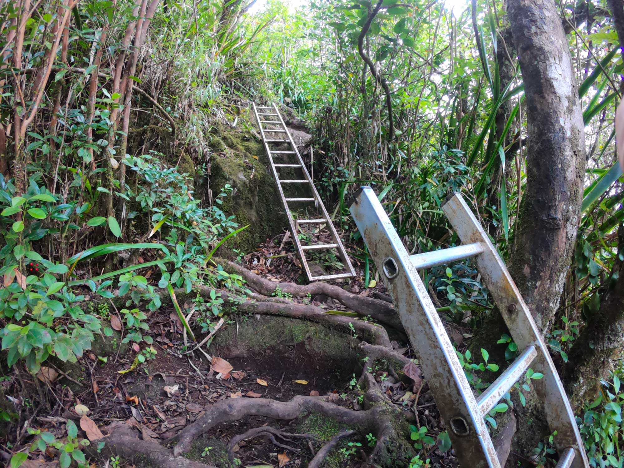 圣伯努瓦塔卡马卡山谷徒步小径上的 27 个梯子