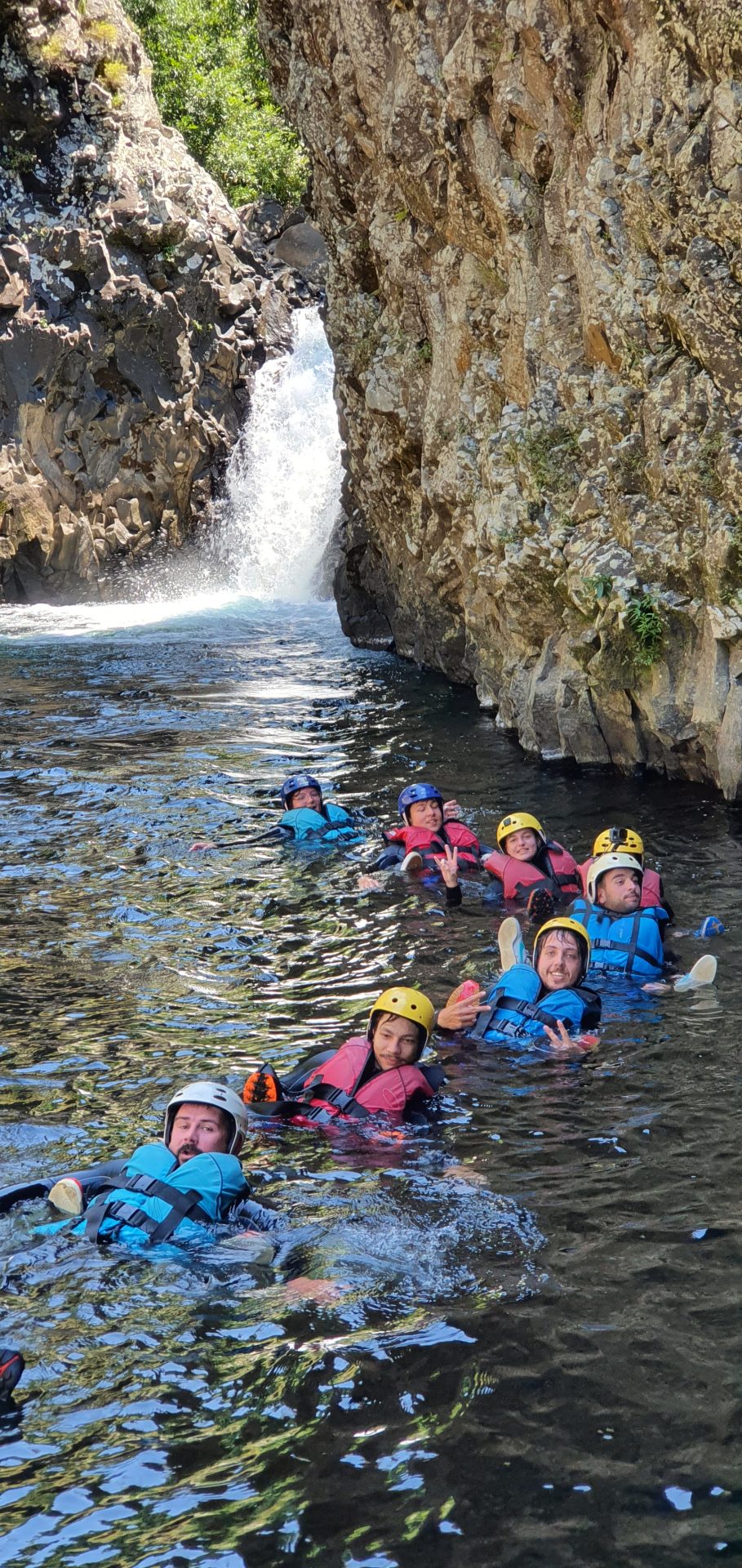 Indische Datei im Wasser des Rocks River