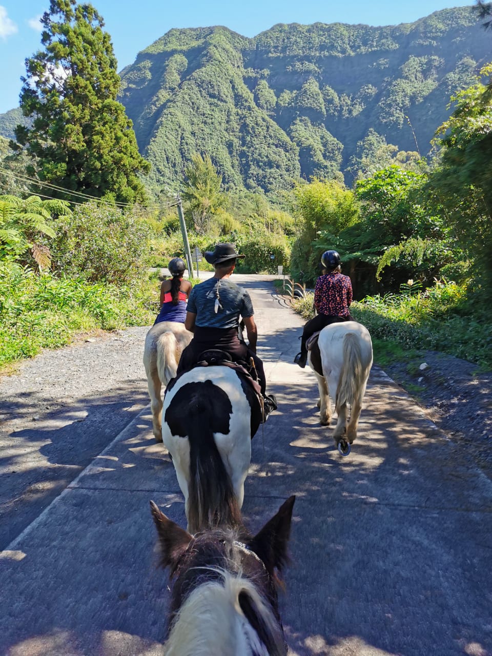 Balade à cheval dans les hauts