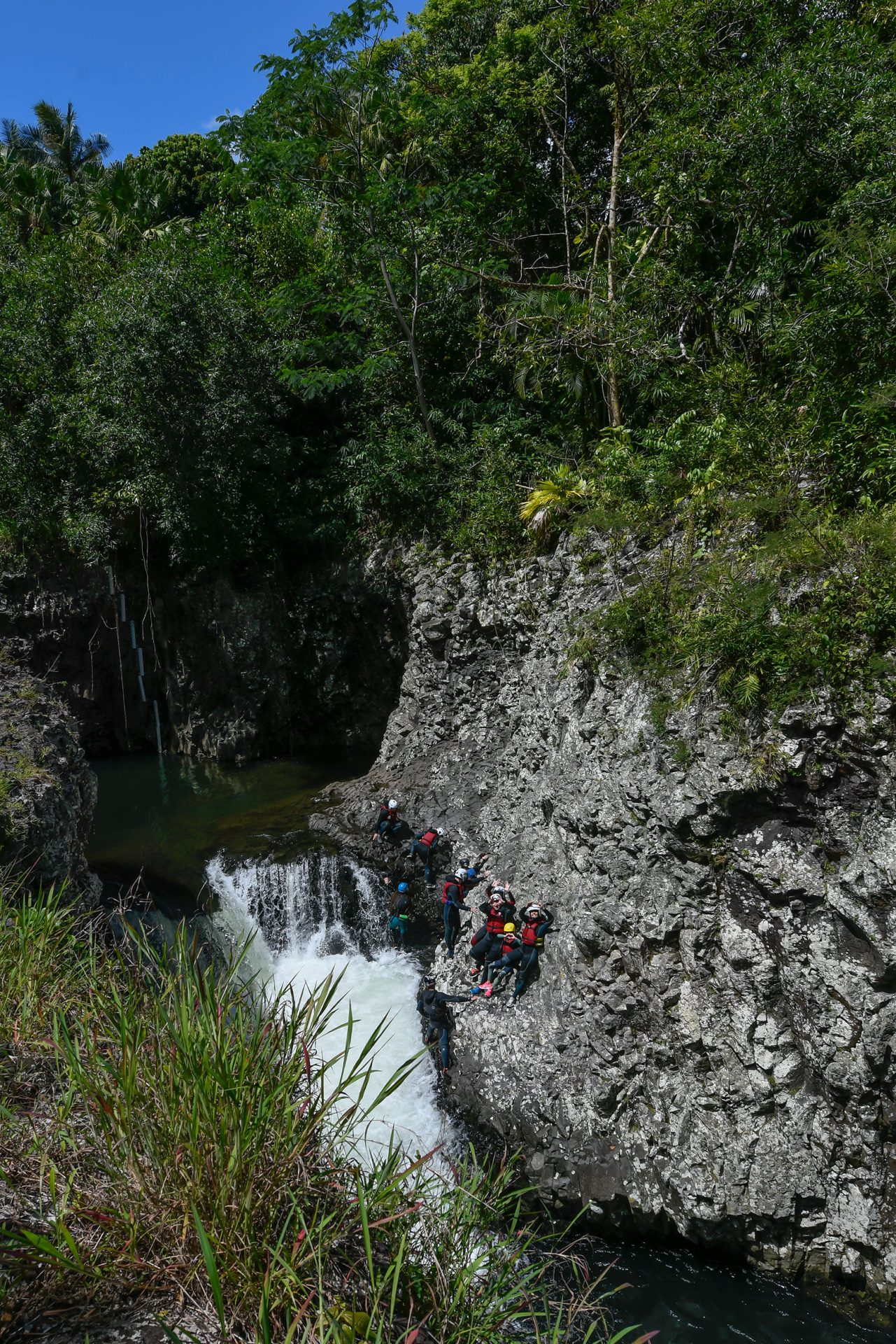 Orgues basaltique du piton des neiges