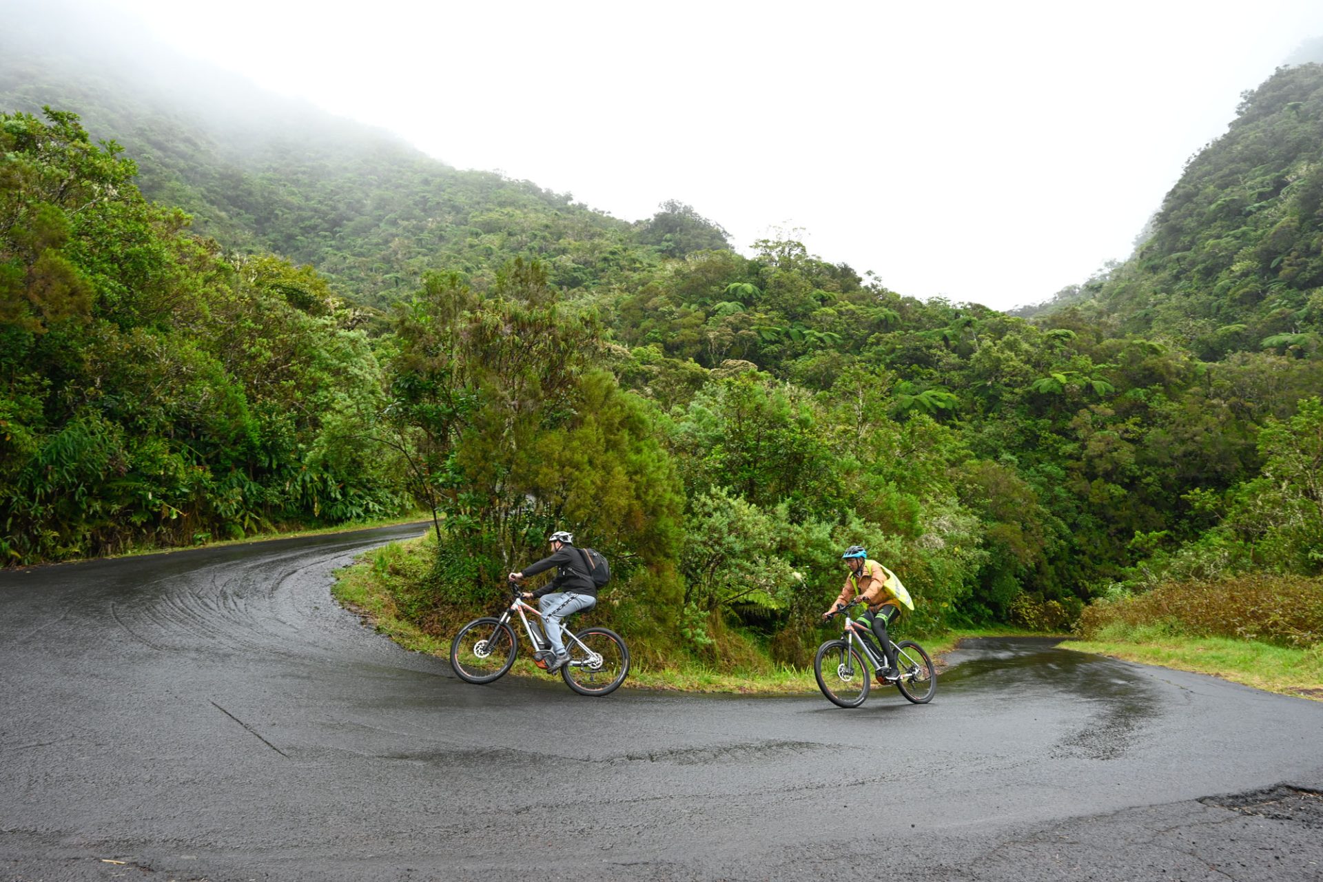 Forest of Bébour by electric mountain bike