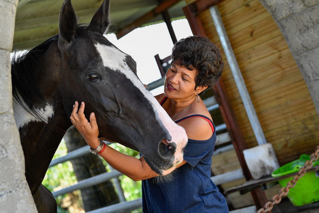 Frau, die ein Pferd streichelt