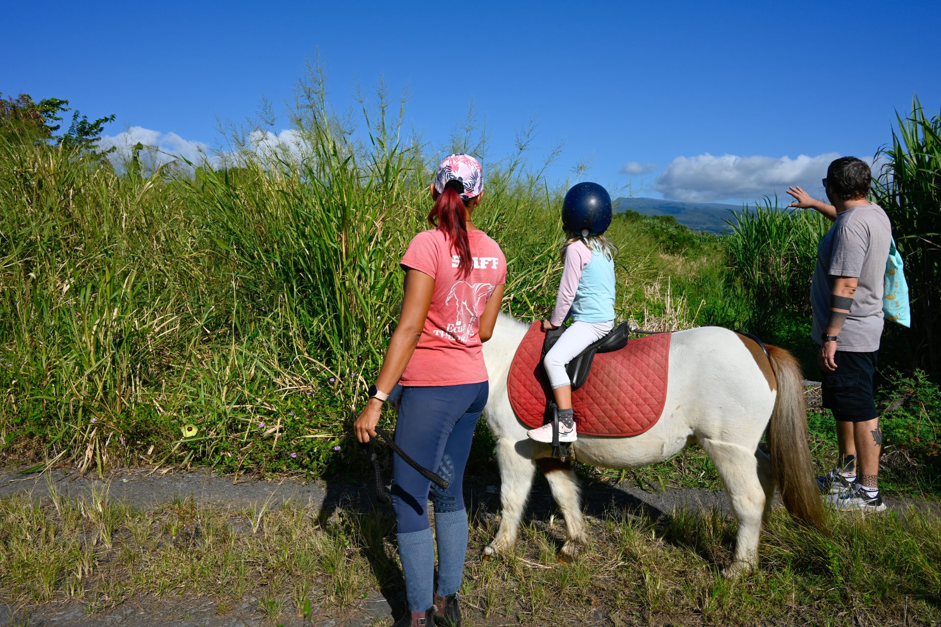 Balade à poney dans les champs de canne à sucre à Saint-André