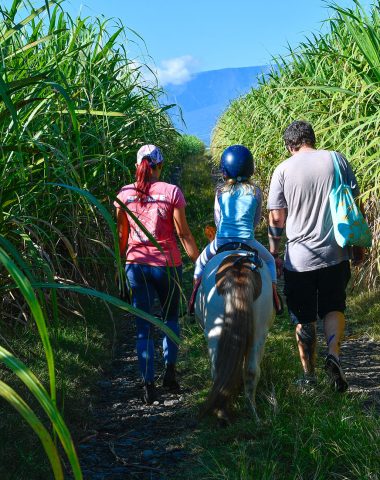 Balade à poney