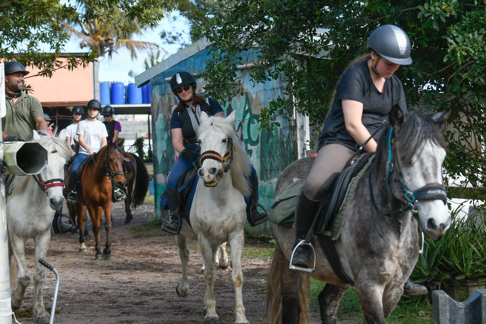 Paseos a caballo con el establo Therméa