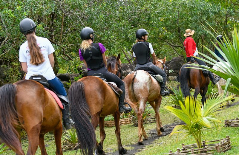 Balade à cheval