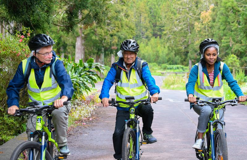 Découverte de la forêt de Bélouve en VTT électrique