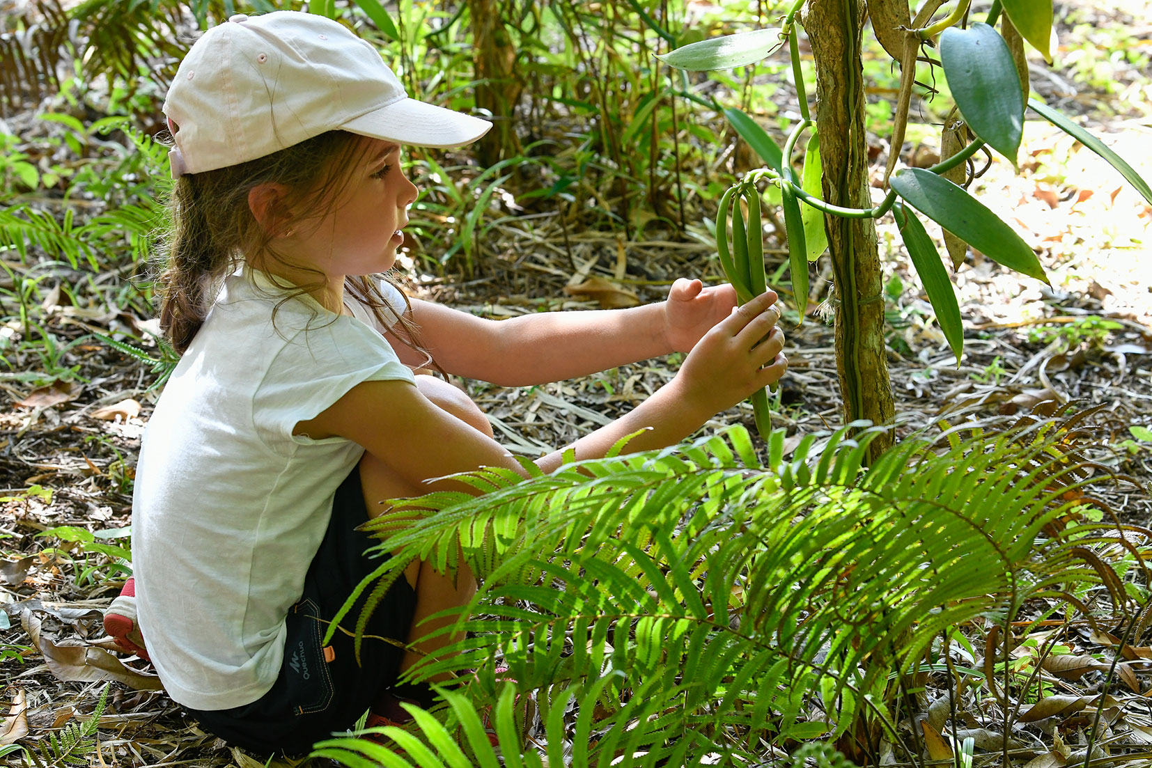 Girl touching vanilla pods