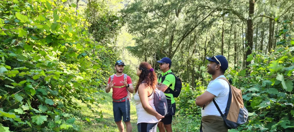 Geführte Wanderung in Salazie