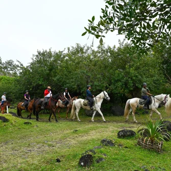 Randonnée équestre à la Rivière du Mât