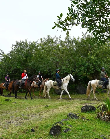 Randonnée équestre à la Rivière du Mât
