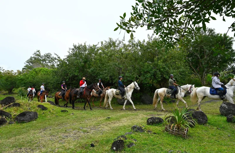 Randonnée équestre à la Rivière du Mât