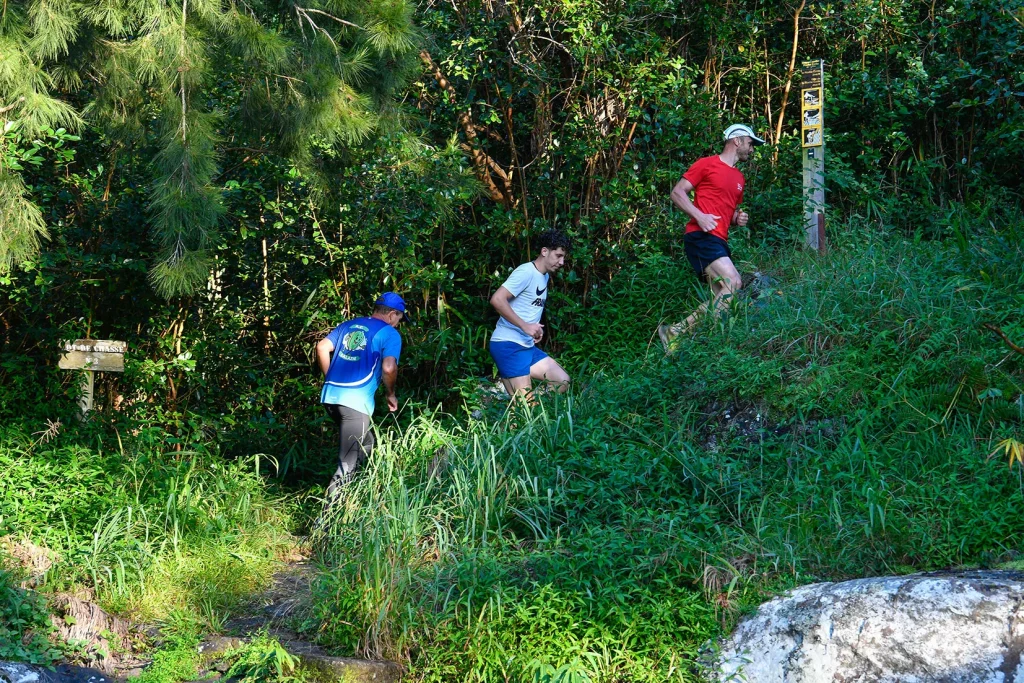 gruppe von personen, die für trailrunning trainieren