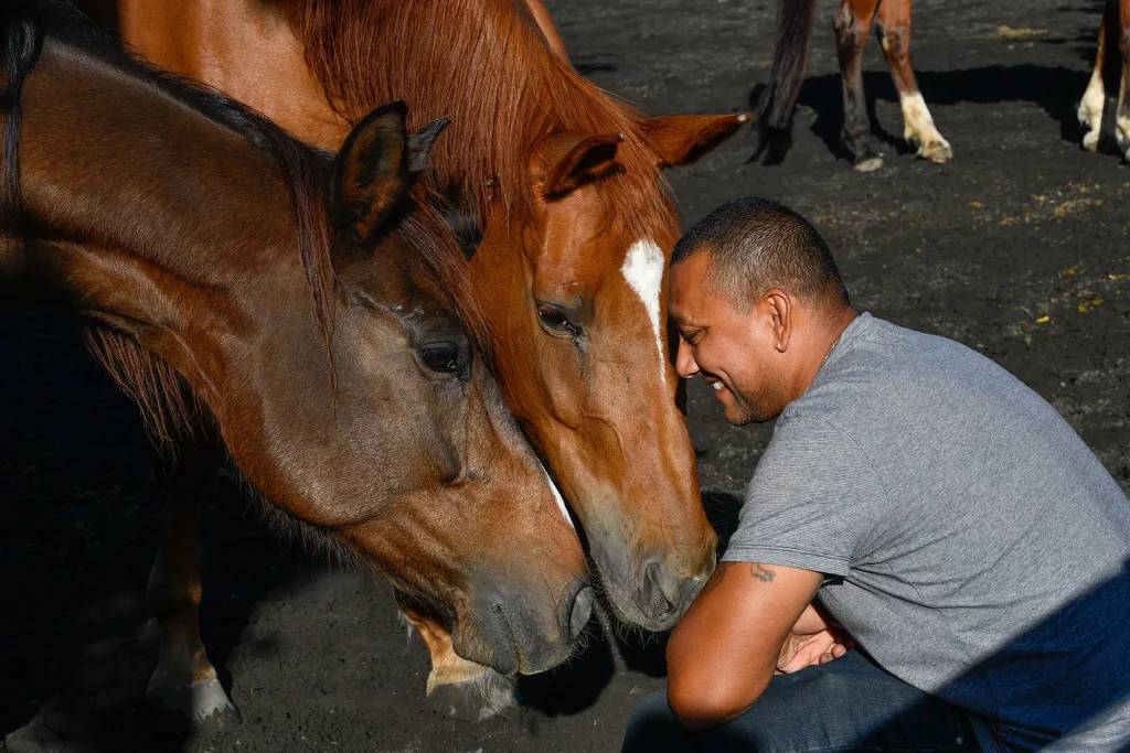 Judex Therméa et ses chevaux