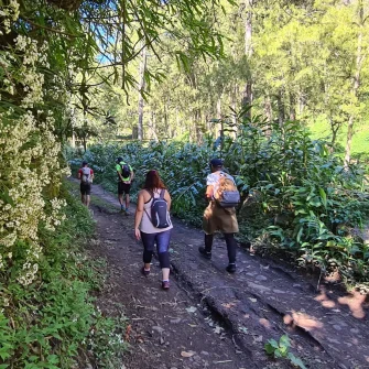 Randonnée guidée au Belvédère de la Fenêtre