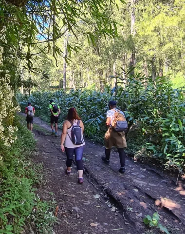 Randonnée guidée au Belvédère de la Fenêtre