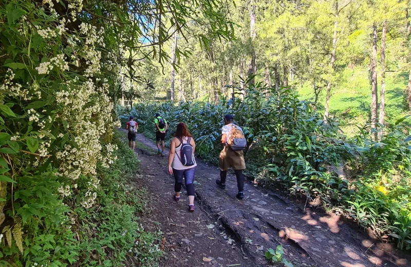 Randonnée guidée au Belvédère de la Fenêtre