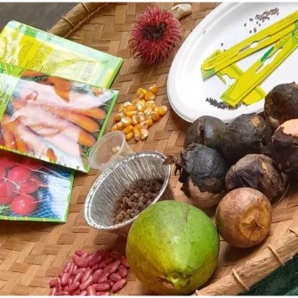Visite guidée du Domaine de Coco