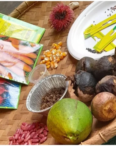 Visite guidée du Domaine de Coco