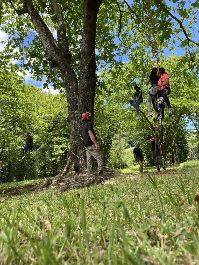 Des adolescents qui grimpent dans un arbre à Sainte-Rose