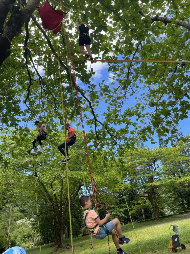 Des enfants qui grimpent dans un arbre