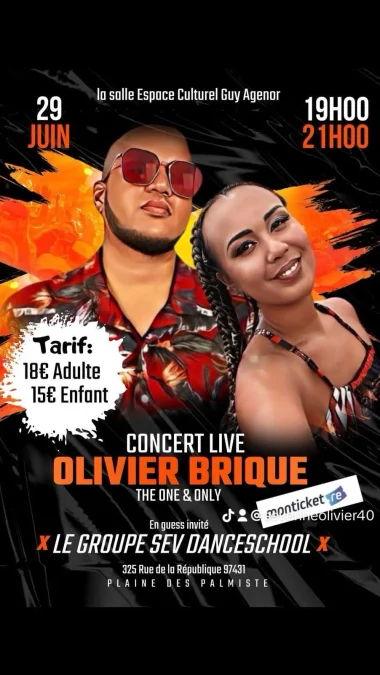 Live concert Olivier Brique