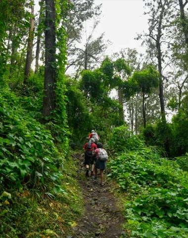 Randonnée guidée au Piton d’Anchaing
