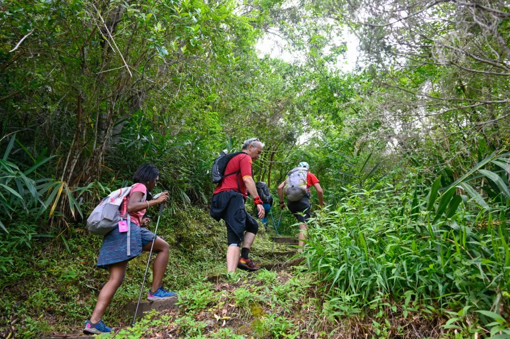 Excursionistas en Piton d'Anchaing