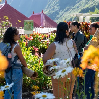 Plongée immersive dans l’histoire de La Réunion