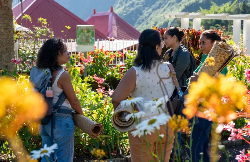 Plongée immersive dans l’histoire de La Réunion