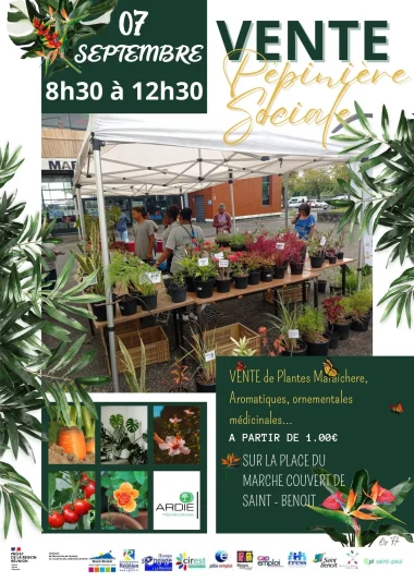 Ventes de plantes à Saint-Benoît