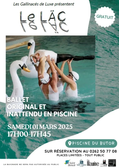 Ballet en piscine à Saint-Benoît